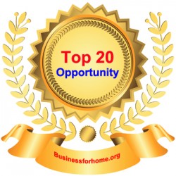 Top 20 Opportunity