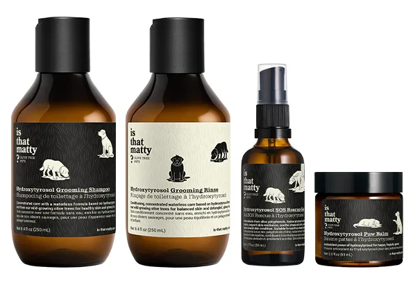 "Is that Matty?" Olive Tree People launches waterless pet grooming essentials