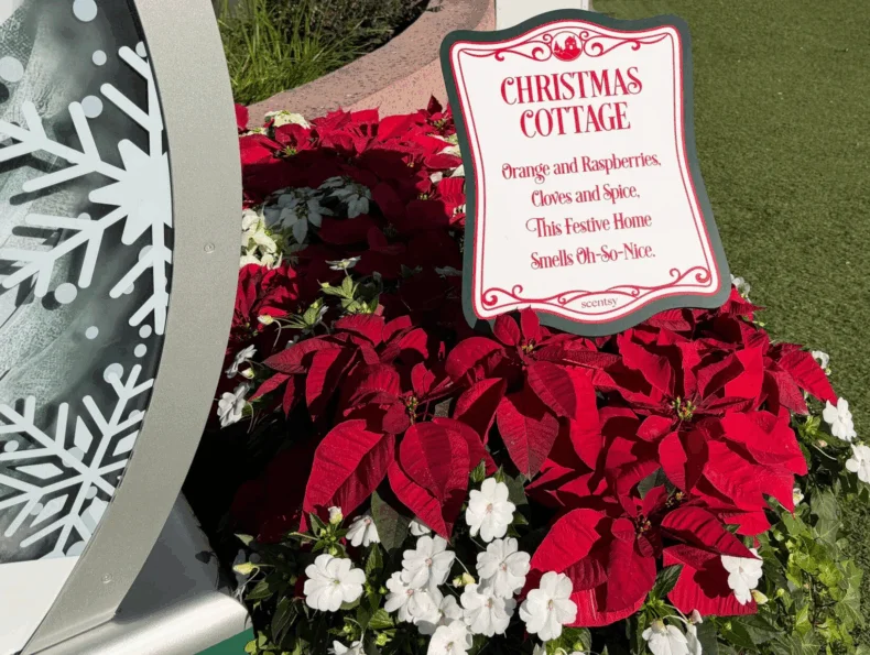 Scentsy’s Festive Fragrances Garden Returns for 2025 EPCOT International Festival of the Holidays