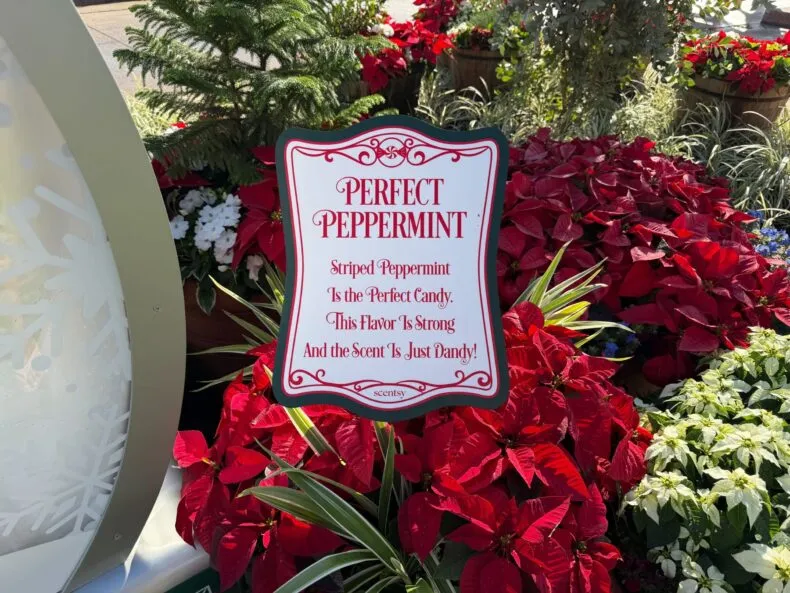 Scentsy’s Festive Fragrances Garden Returns for 2025 EPCOT International Festival of the Holiday