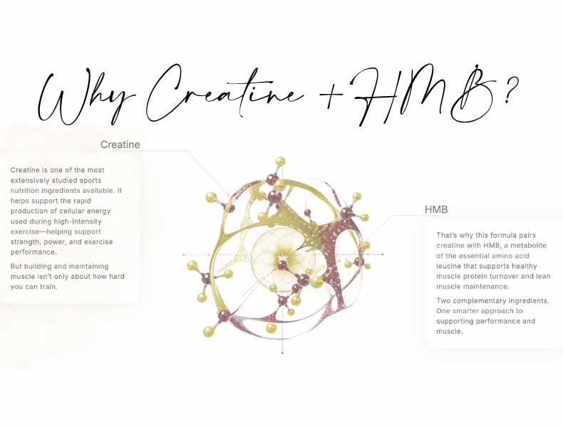 Beneve explains why Creatine + HMB combines creatine with HMB for muscle support