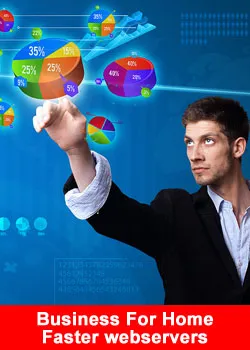 Business For Home, Webservers