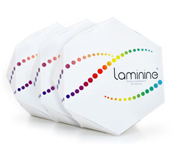 Laminine