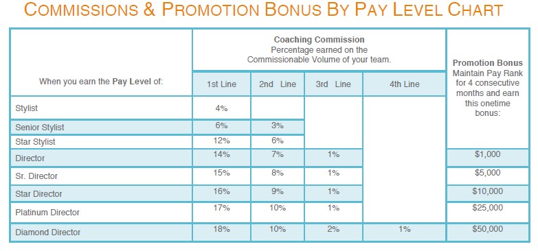 Amway Compensation Plan Chart