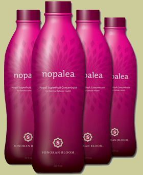 Nopalea Trivita Nopalea Trivita
